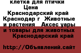 клетка для птички › Цена ­ 200 - Краснодарский край, Краснодар г. Животные и растения » Аксесcуары и товары для животных   . Краснодарский край